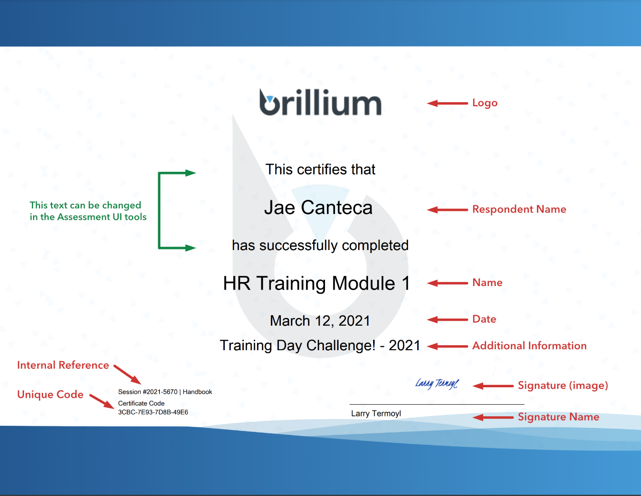 Brillium Certificate Data and Design Elements