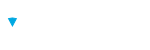 Brillium Logo inverse